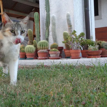 Casa Perini 3* Villa Vicentina